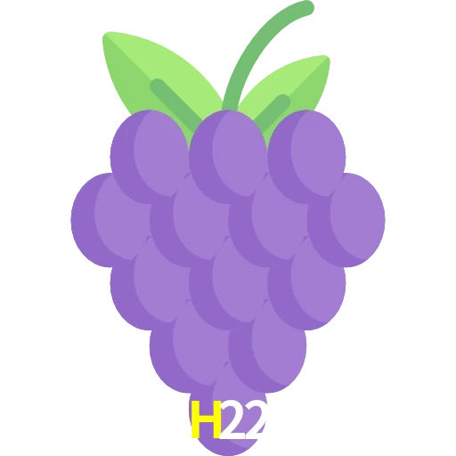 H22